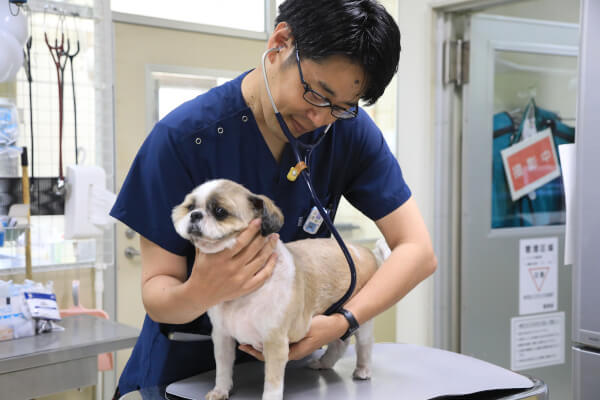 山口動物病院_13