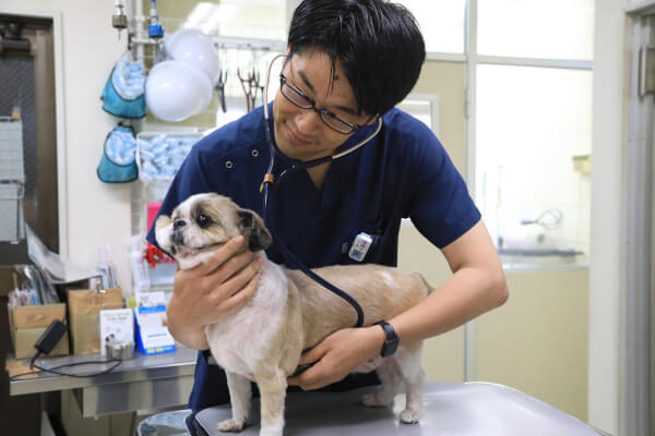 山口動物病院_14