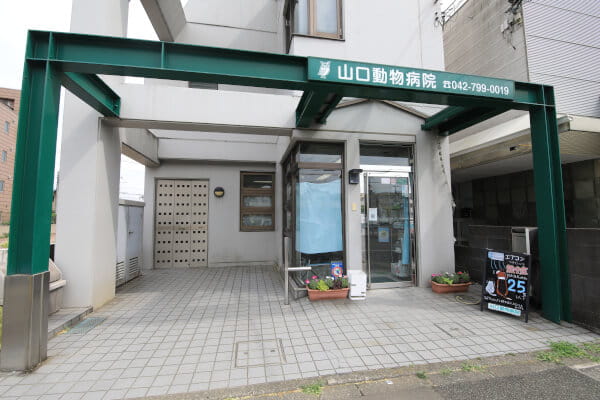 山口動物病院_24