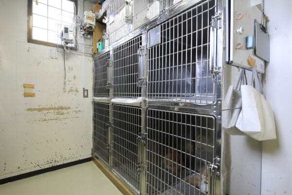 山口動物病院_33