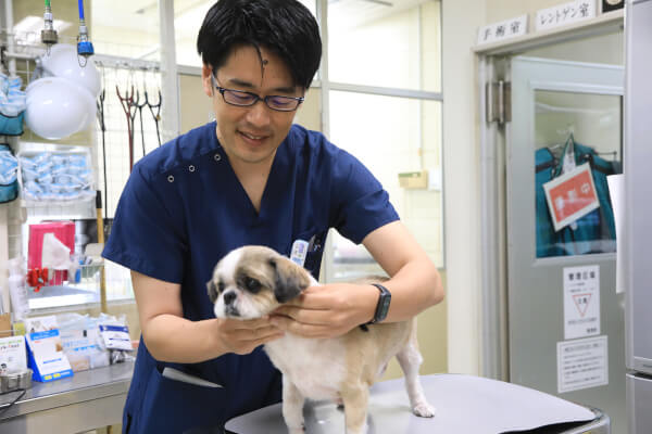 山口動物病院_7