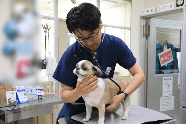 山口動物病院_39