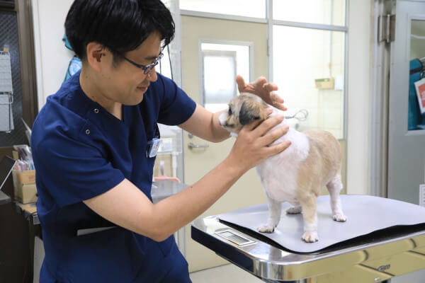 山口動物病院_8