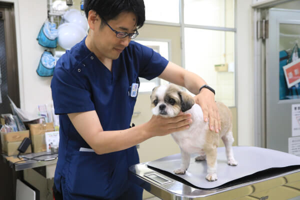 山口動物病院_9