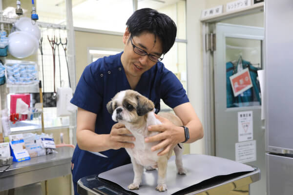 山口動物病院_10