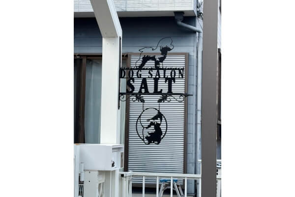 DogSalon Salt_2