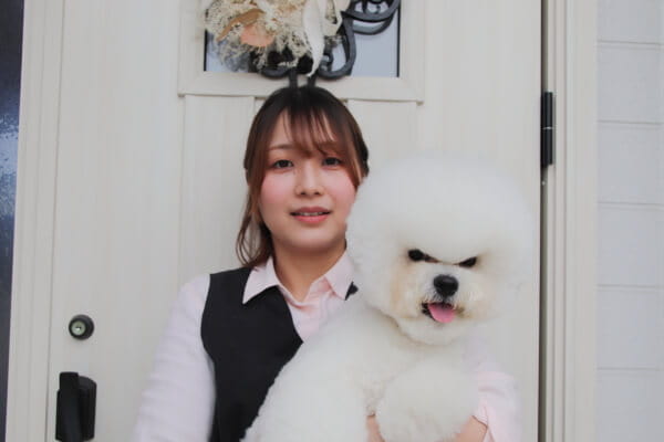 DogSalon Salt_3