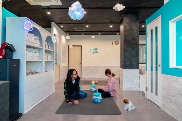 ANELLA CAFE （保護犬猫ふれあいカフェ）佐倉店_1