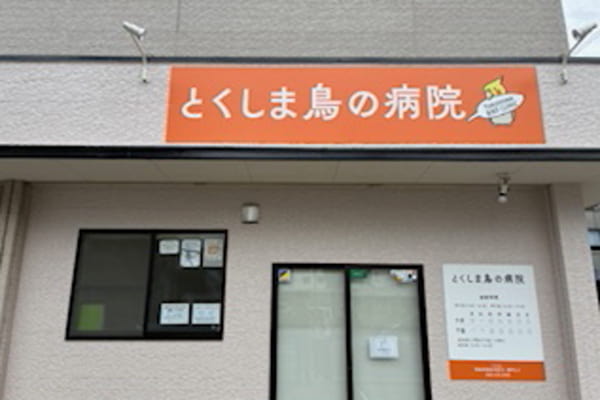 とくしま鳥の病院【2025年5月7日開院】_3