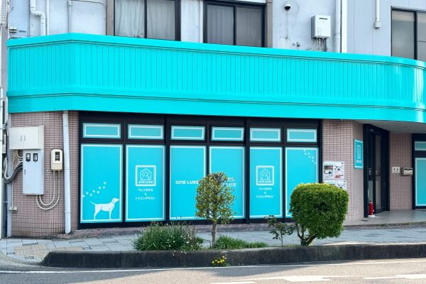 ワンルーク一宮駅店