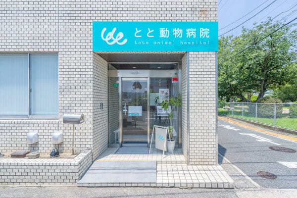 とと動物病院【2025年5月23日開院】_1