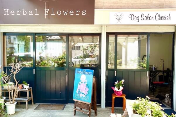Dog Salon Cherish