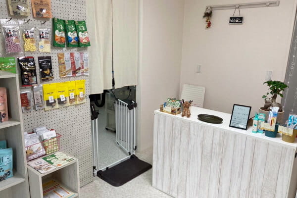 Dog salon NICO_1
