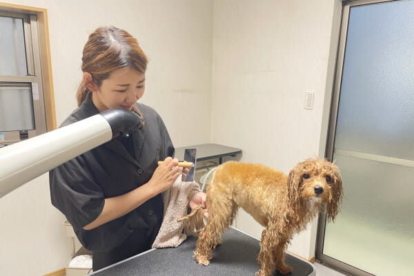 DEAR DOG_2