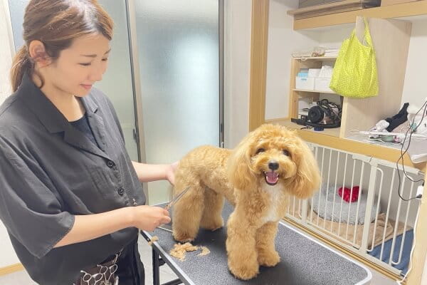 DEAR DOG_3