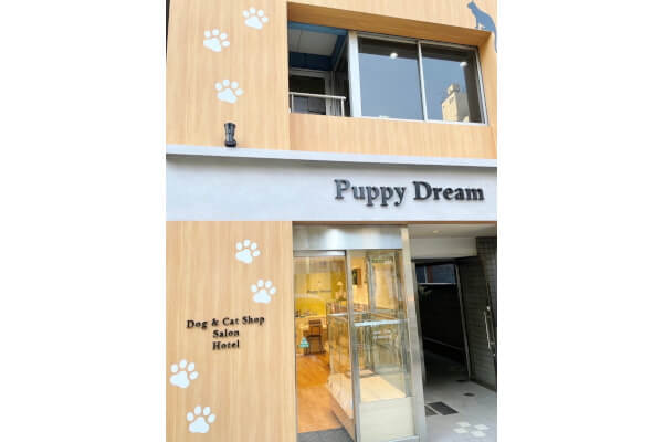 パピードリーム