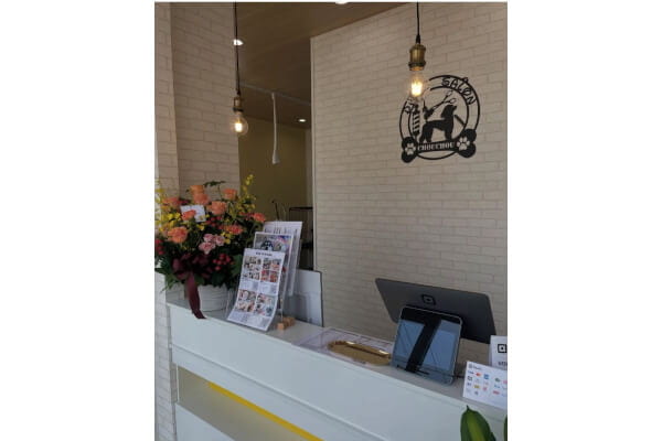Dogsalon Chouchou