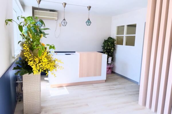 Dog salon Eclat