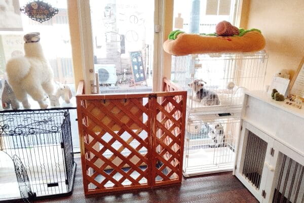 犬のとこや のと_2
