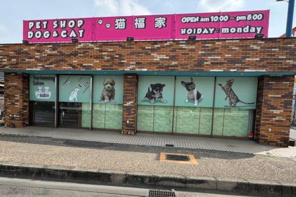 猫福家 名古屋南店