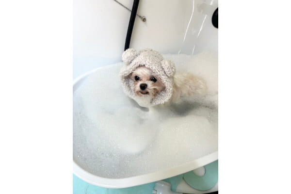 CHERIWANGE 目黒店