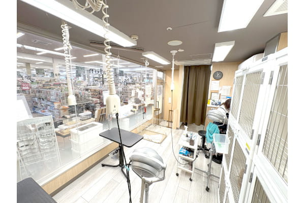 ペッツワン城山店（エステカーサ城山店）_1