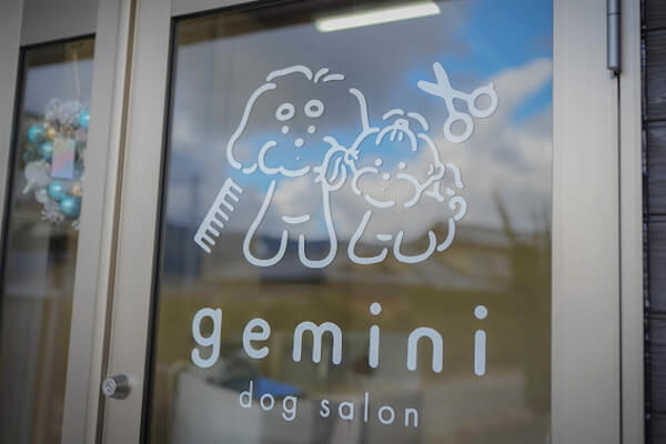 gemini dogsalon