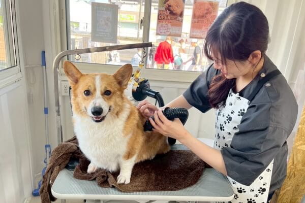 アイネクルネ 富里ベース店_1