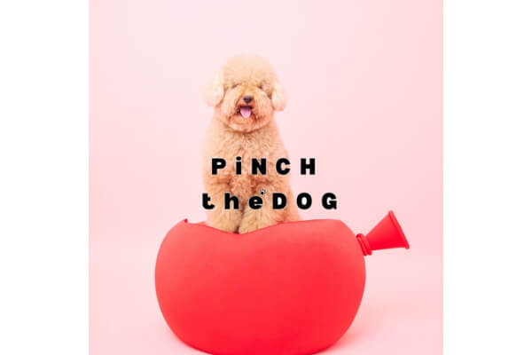 PiNCH the DOG 高円寺_4