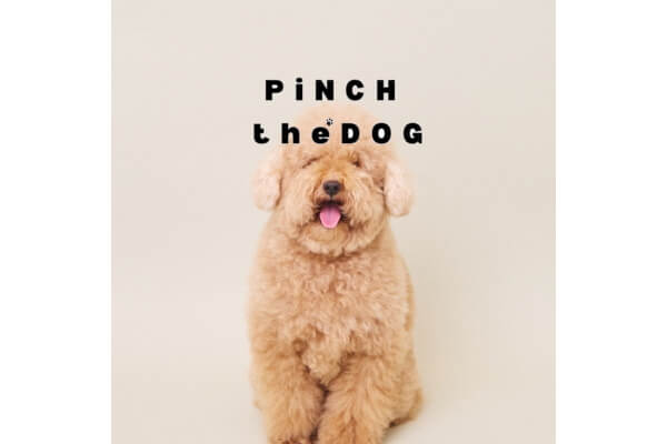 PiNCH the DOG 高円寺_3