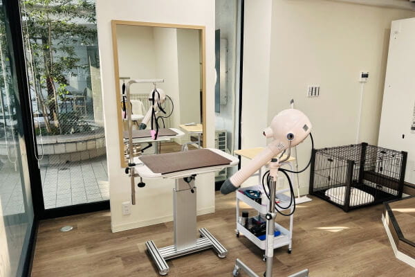 dog care salon ほわほわ_2