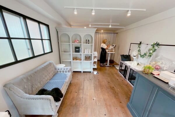 DOG SALON LouLou