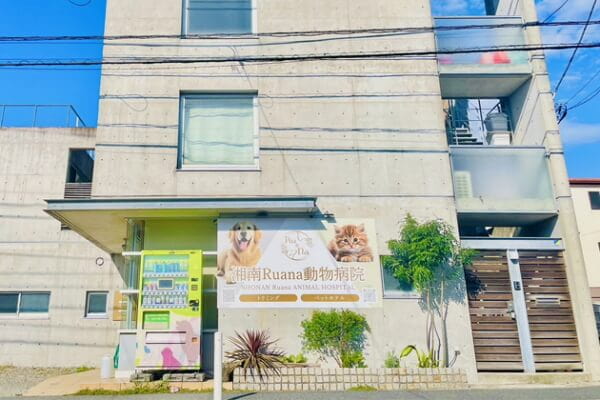 湘南Ruana動物病院