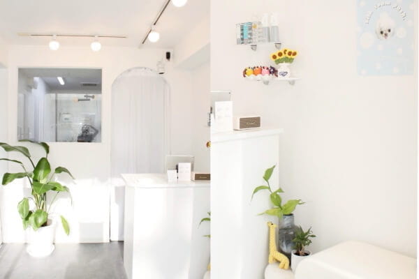 Dogsalon TOK. _1