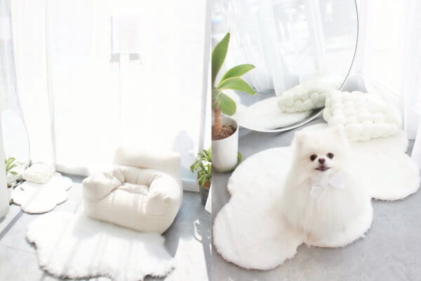Dogsalon TOK. _4
