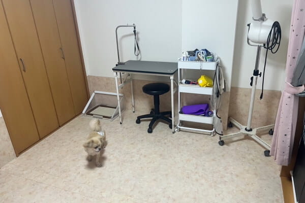 Care salon Coccola
