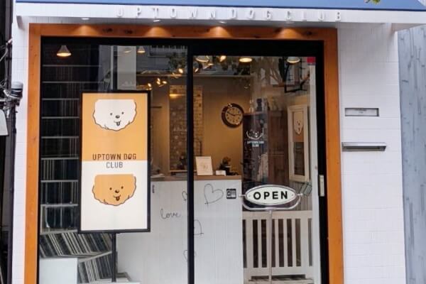 UPTOWN DOG CLUB