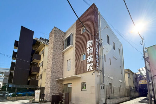 かまた本町動物病院