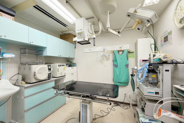 かまた本町動物病院_6